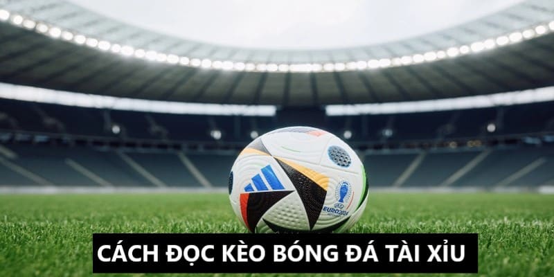 Hiểu rõ hơn về cách đọc cụ thể kèo bóng đá tài xỉu Hiểu rõ hơn về cách đọc cụ thể kèo bóng đá tài xỉu