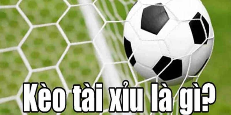 Chơi kèo tài xỉu theo cách nhồi tài rất đáng thử nghiệm Chơi kèo tài xỉu theo cách nhồi tài rất đáng thử nghiệm