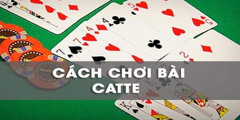 Hướng dẫn cách chơi bài cát tê cơ bản và quy luật đánh bài catte Kubet nâng cao Hướng dẫn cách chơi bài cát tê cơ bản và quy luật đánh bài catte Kubet nâng cao