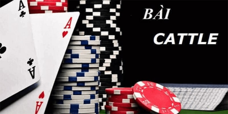 Một vài thông tin giới thiệu tổng quan về game bài cát tê Một vài thông tin giới thiệu tổng quan về game bài cát tê