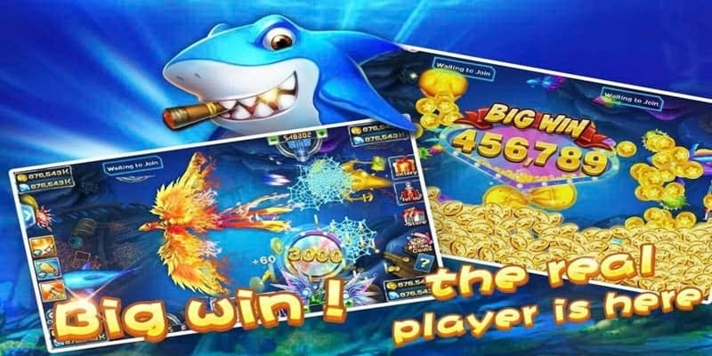 Không gian trải nghiệm bắn cá thú vị Không gian trải nghiệm bắn cá thú vị