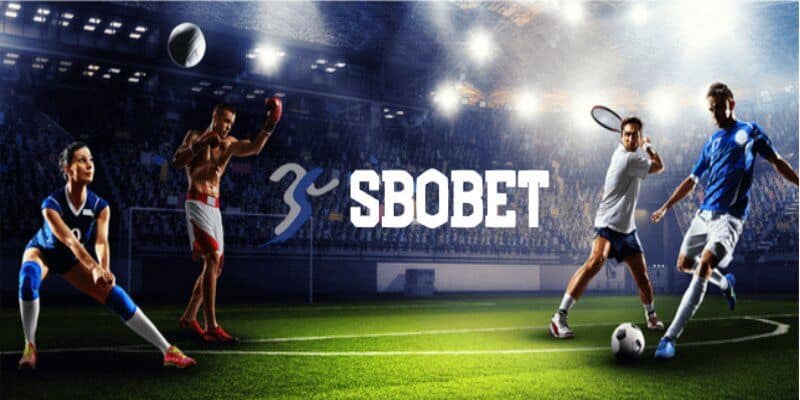 Mẹo tham gia sảnh cược SBOBET cho thành viên mới Mẹo tham gia sảnh cược SBOBET cho thành viên mới