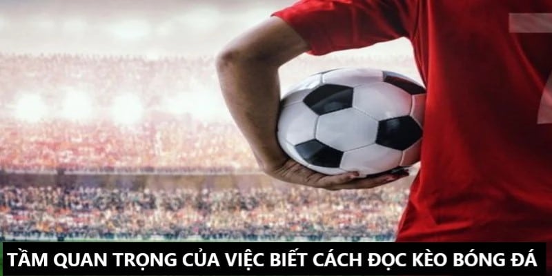Tầm quan trọng của vấn đề hiểu cách đọc kèo bóng đá Tầm quan trọng của vấn đề hiểu cách đọc kèo bóng đá