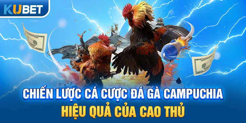 Chiến lược cá cược đá gà Campuchia hiệu quả của cao thủ